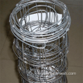 High quality Galvanized Welded Wire Mesh